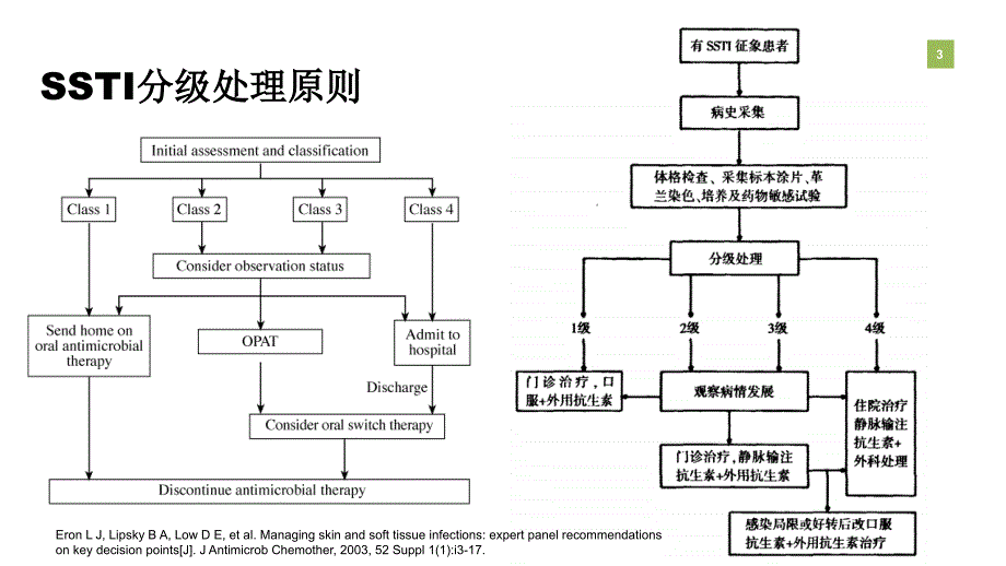 皮肤及软组织感染.ppt_第3页