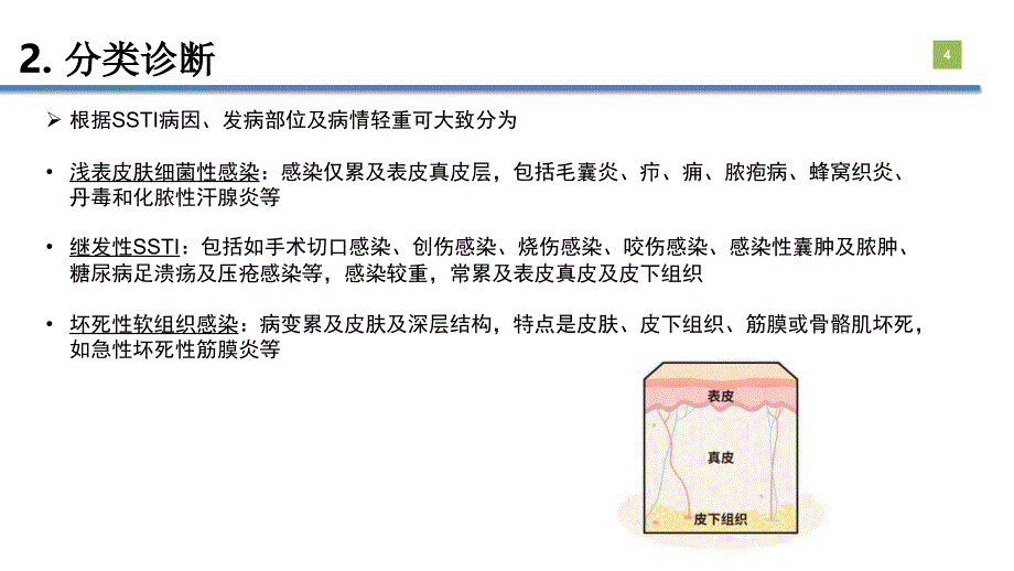 皮肤及软组织感染.ppt_第4页