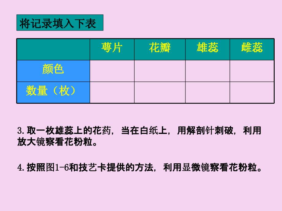 生物1.2学会观察ppt课件_第3页