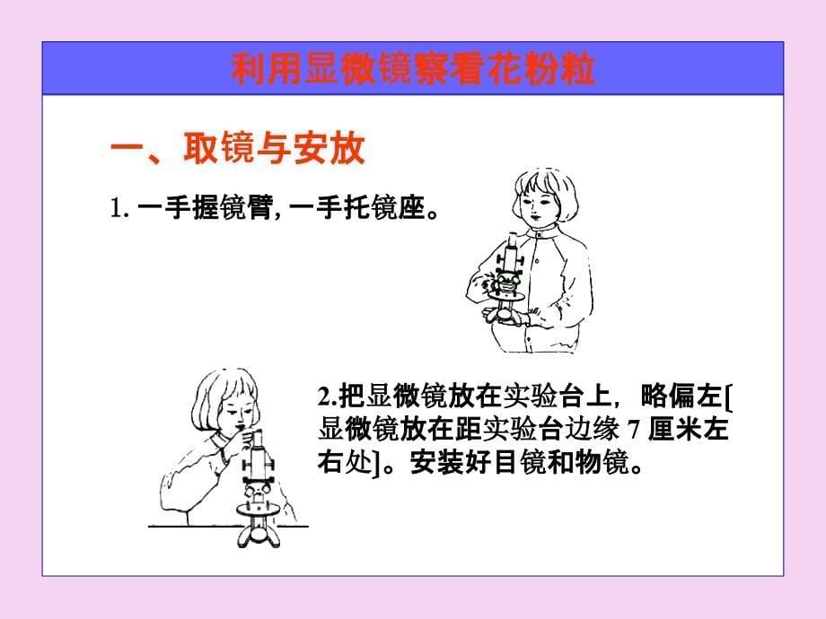 生物1.2学会观察ppt课件_第5页