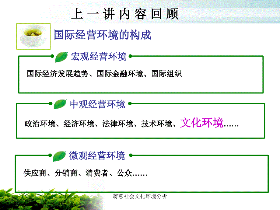 蒋燕社会文化环境分析课件_第2页