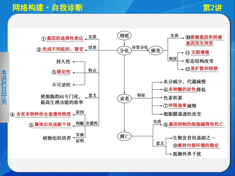 专题三2细胞分化衰老凋亡和癌变_第3页