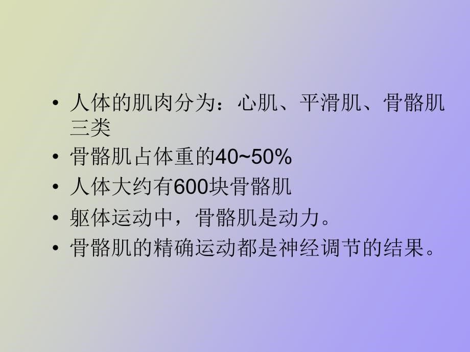 运动与骨骼肌机能_第5页