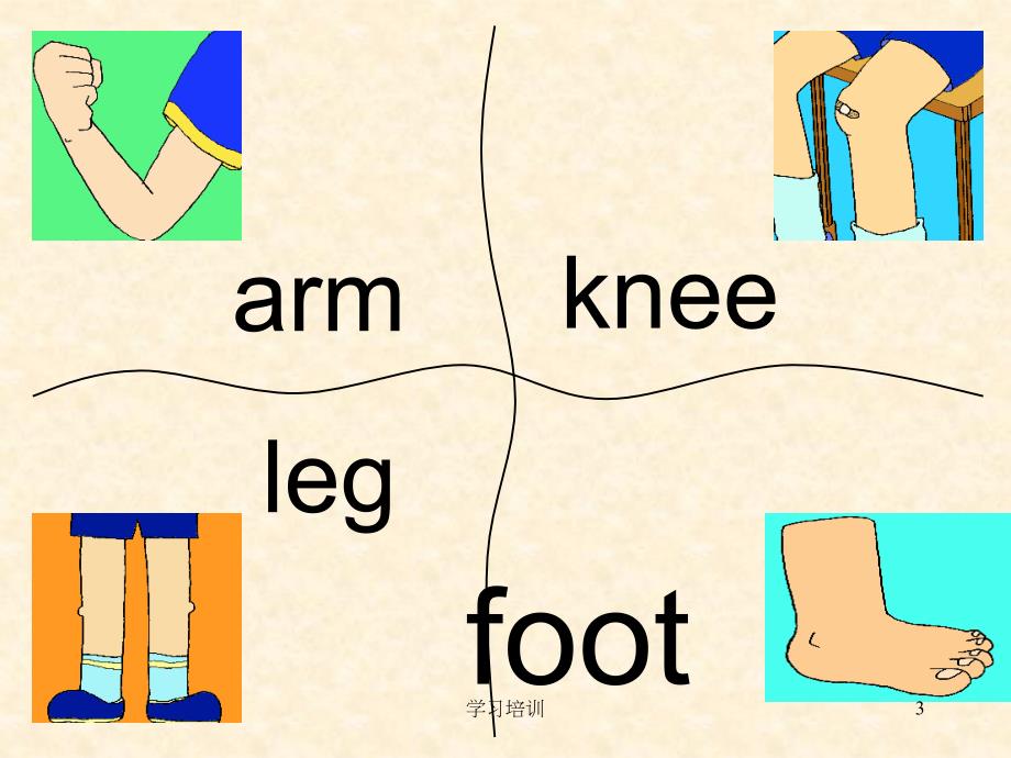 身体部位ppt#上课课堂_第3页