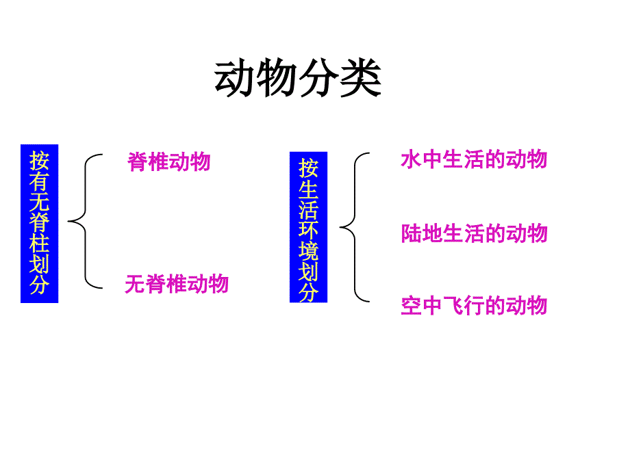 各种环境中的动物复习_第3页