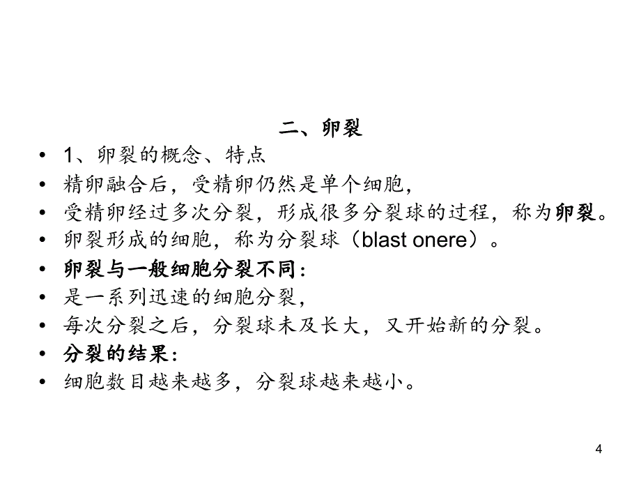 早期胚胎发育PPT精选文档_第4页