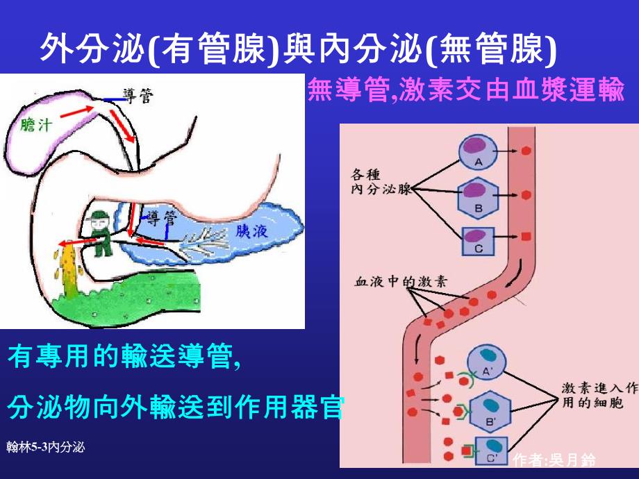 减肥篇毛毛虫变成蝴蝶_第3页