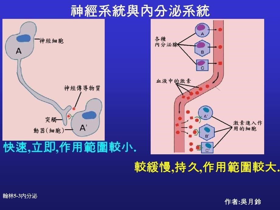 减肥篇毛毛虫变成蝴蝶_第5页