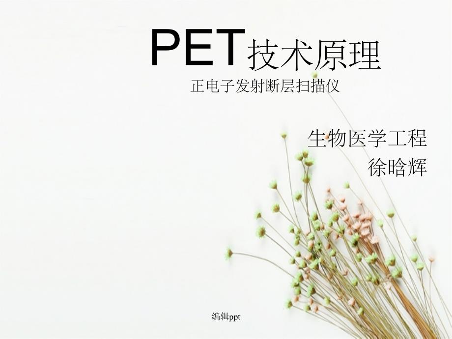 PET技术的基本原理_第1页