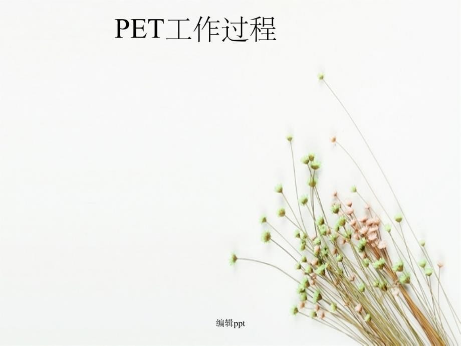 PET技术的基本原理_第5页