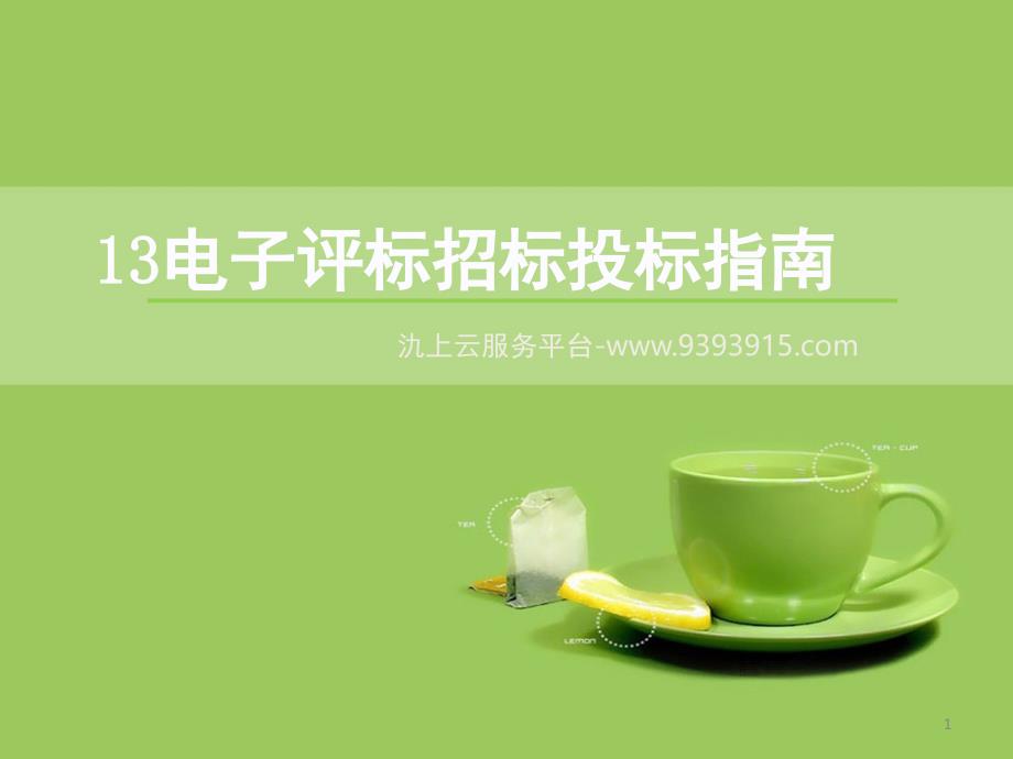 电子招投标指南PPT精品文档_第1页