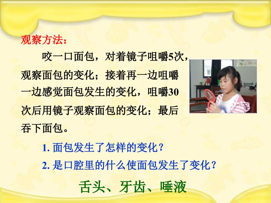 教科版四年级上册科学食物在口腔里的变化课件_第3页