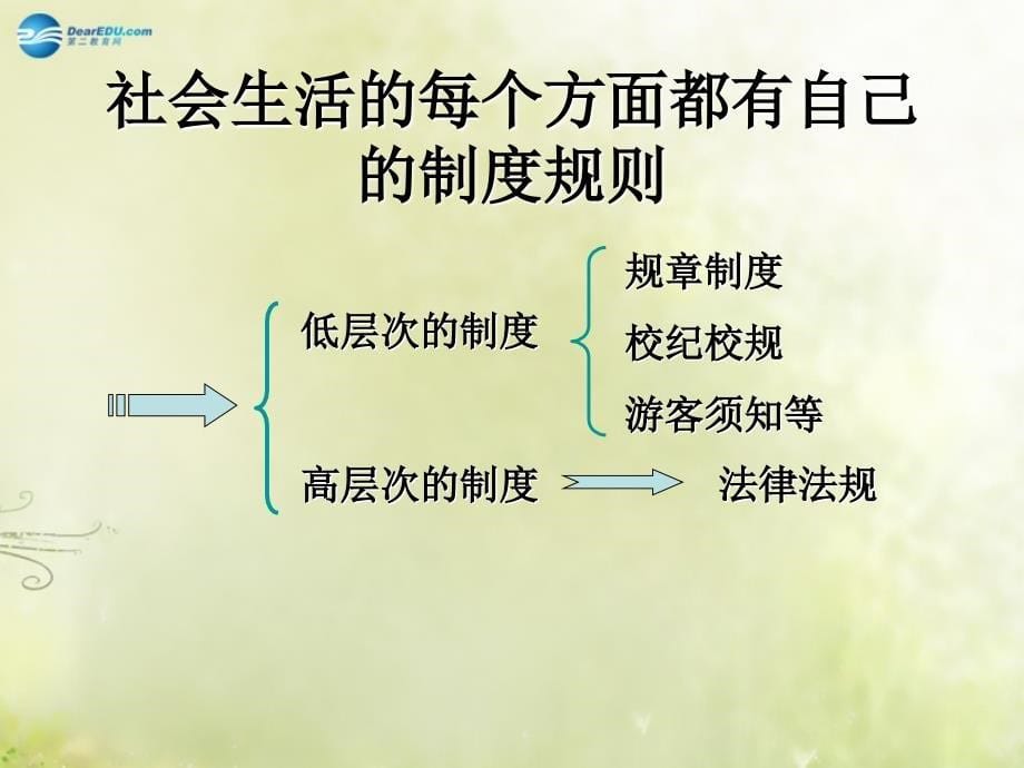 82社会规则与正义课件_第5页