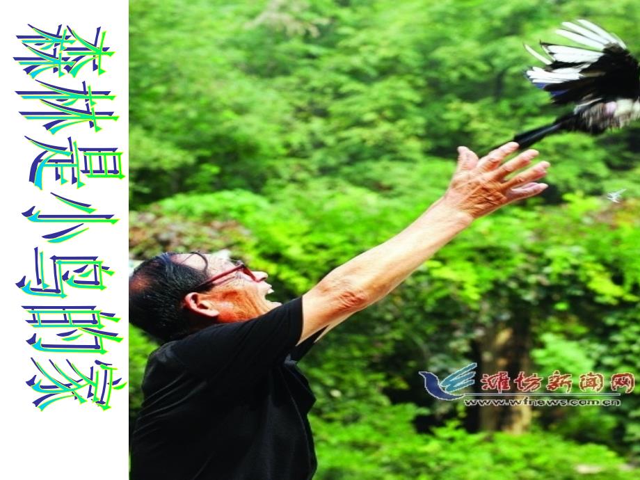 《浅水洼里的小鱼》(1)_第1页