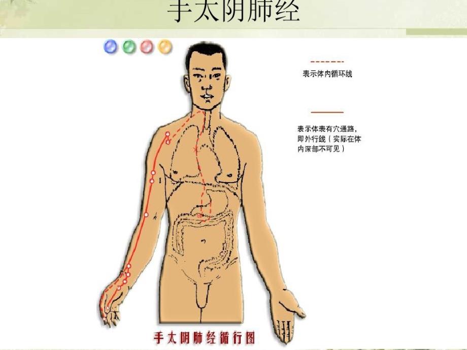 手太阴肺经PPT课件02_第4页