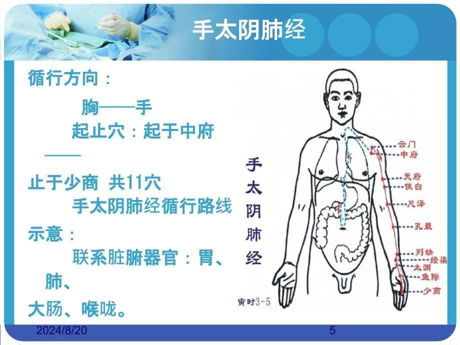 手太阴肺经PPT课件02_第5页