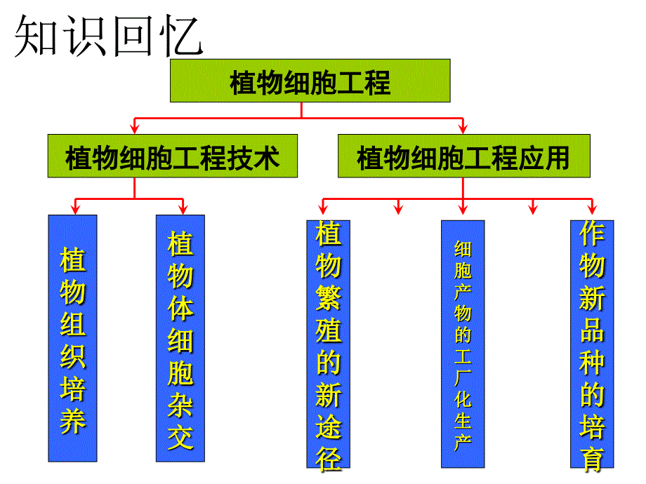 221动物细胞培养和核移植技术_第1页