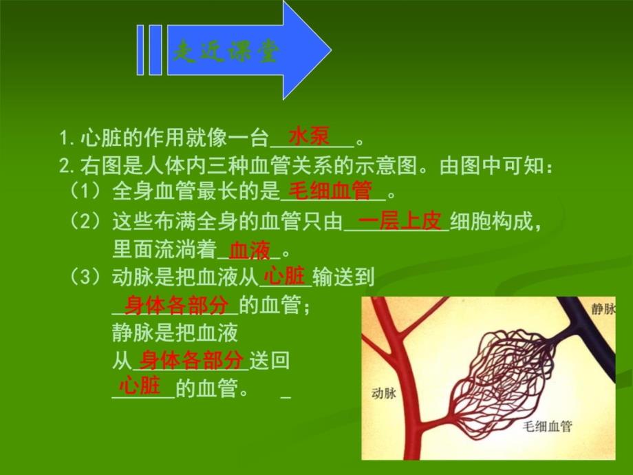 血液循环 PPT课件.ppt_第2页