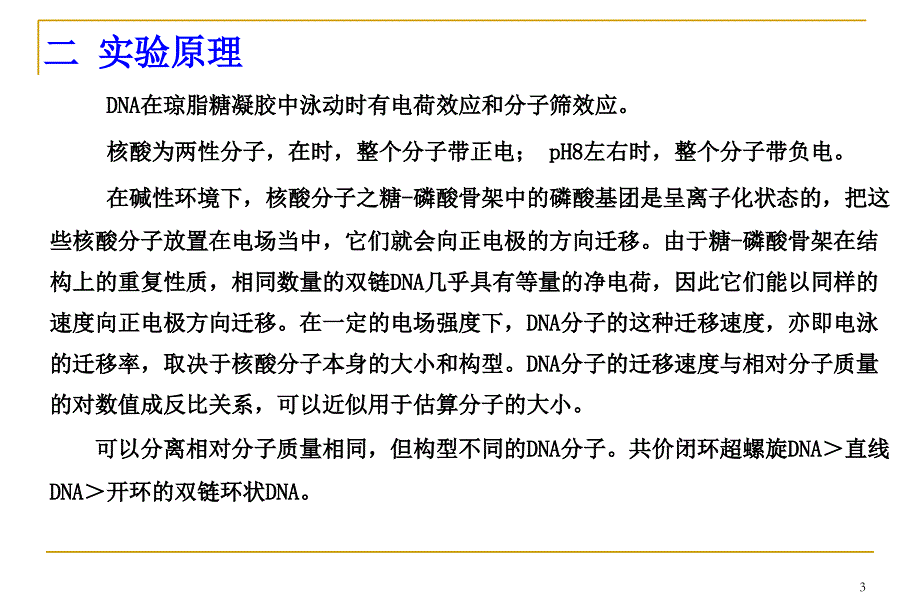 实验三DNA的琼脂糖凝胶电泳_第3页