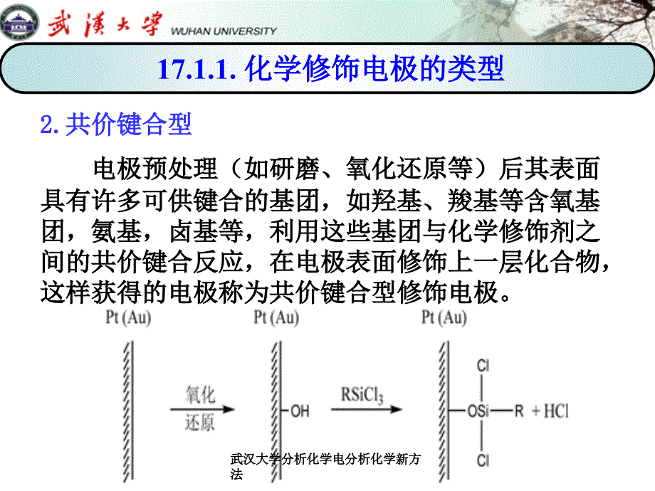 武汉大学分析化学电分析化学新方法课件_第4页