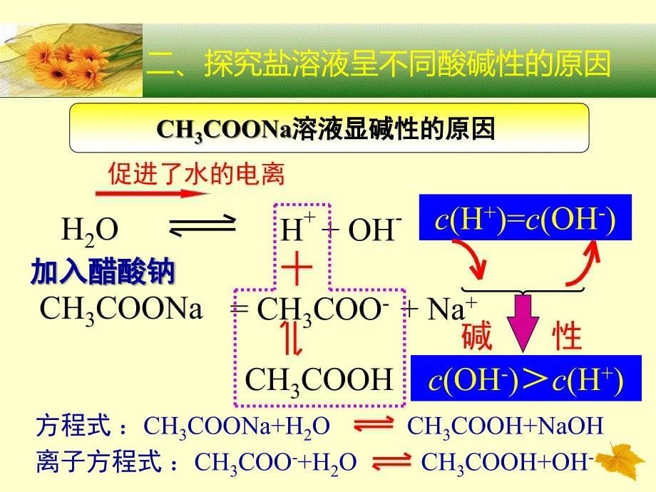 盐类水解第一课时ppt_第5页