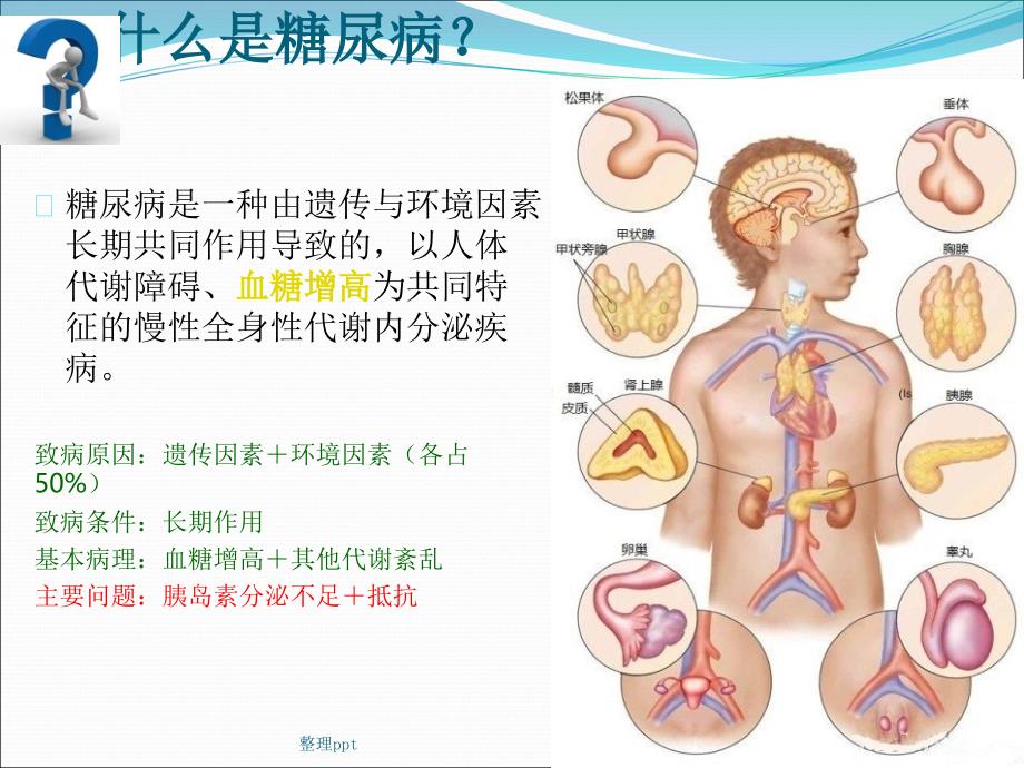 糖尿病药物篇.ppt1_第2页