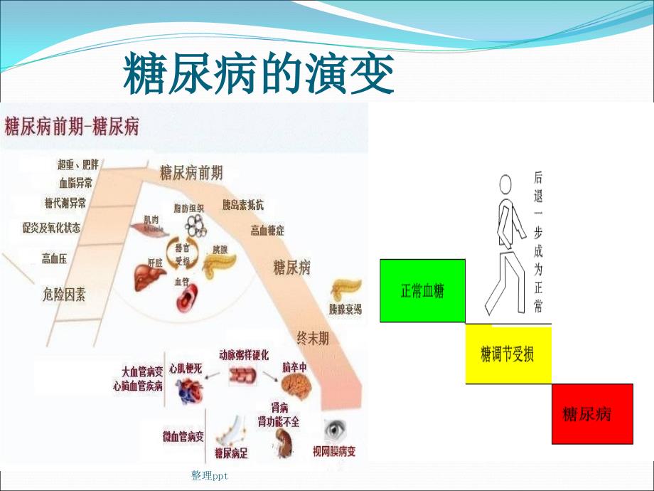 糖尿病药物篇.ppt1_第4页