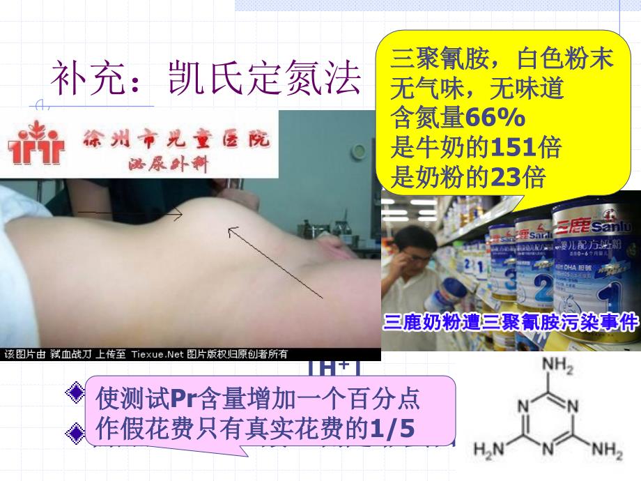 环境生物化学：第2章 蛋白质_第4页