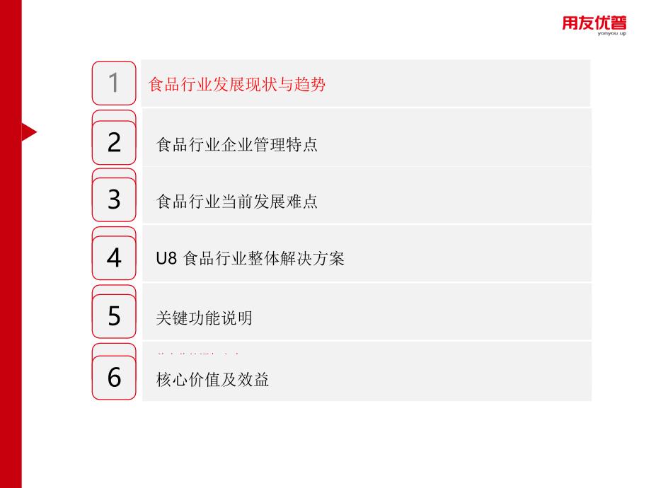 用友优普U8食品行业全面信息化解决方案_第2页
