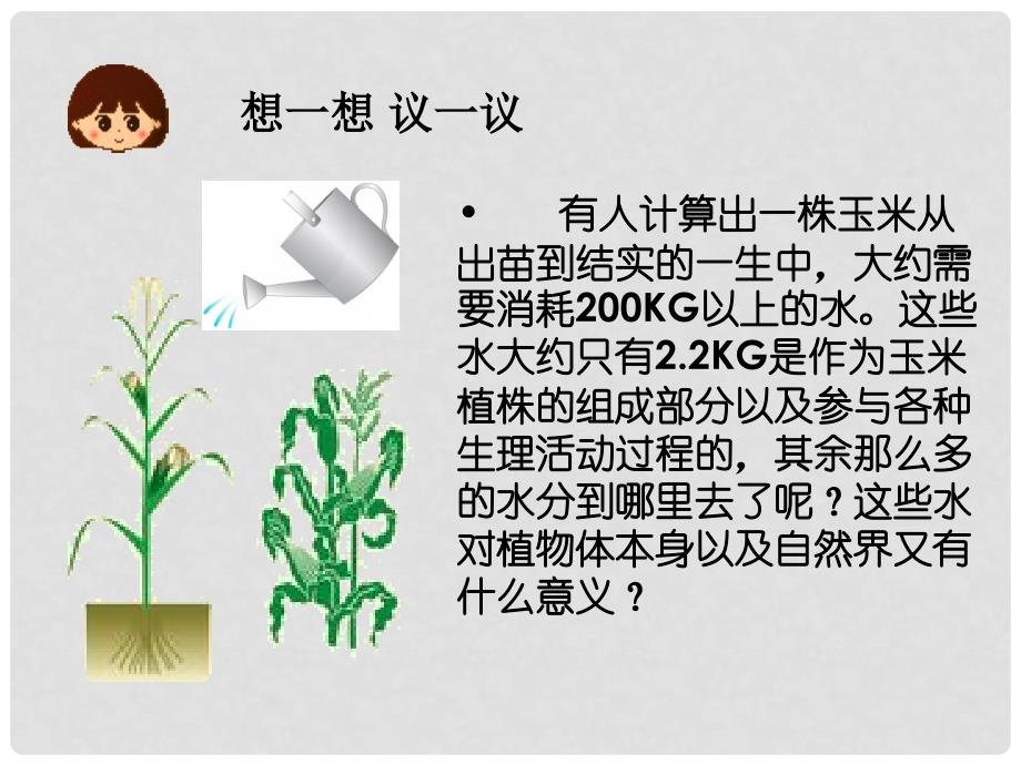 七年级生物上册 第三单元 第三章 绿色植物与生物圈的水循环教学课件 （新版）新人教版_第2页