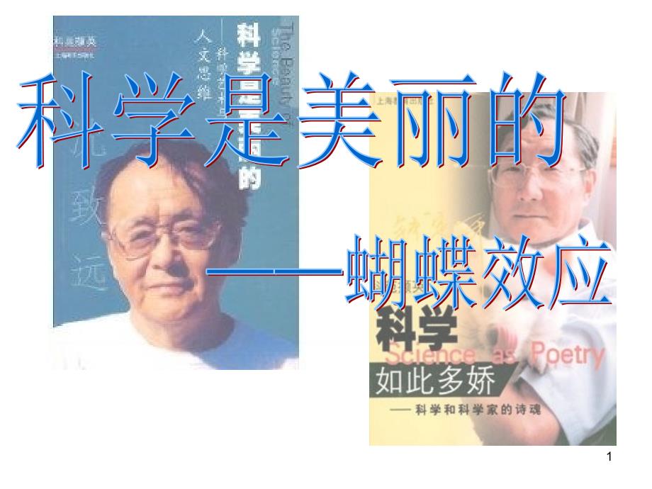 蝴蝶效应寿柔鑫PPT演示文稿_第1页