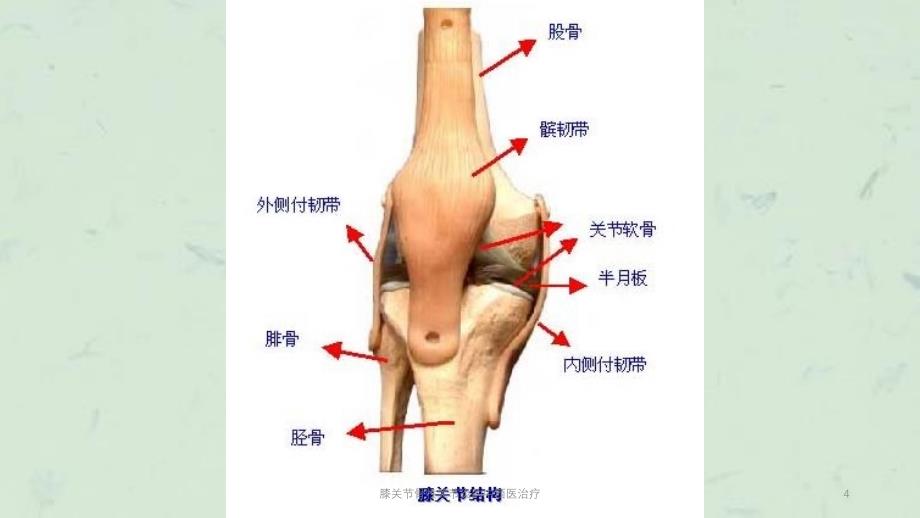 膝关节骨性关节炎的中西医治疗课件_第4页