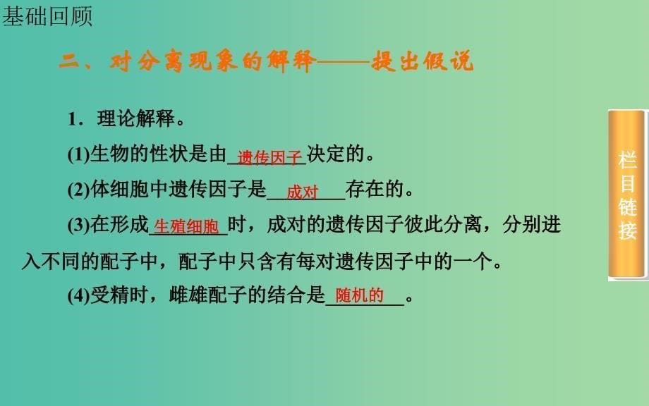 高考生物一轮复习 孟德尔的豌豆杂交实验（一）课件.ppt_第5页