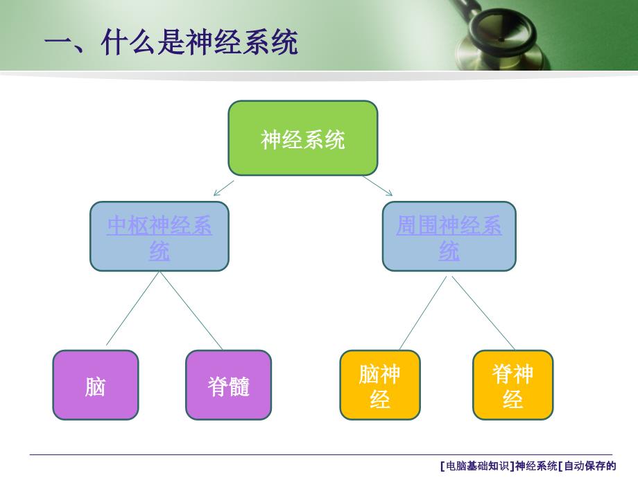 电脑基础知识神经系统自动保存的课件_第3页