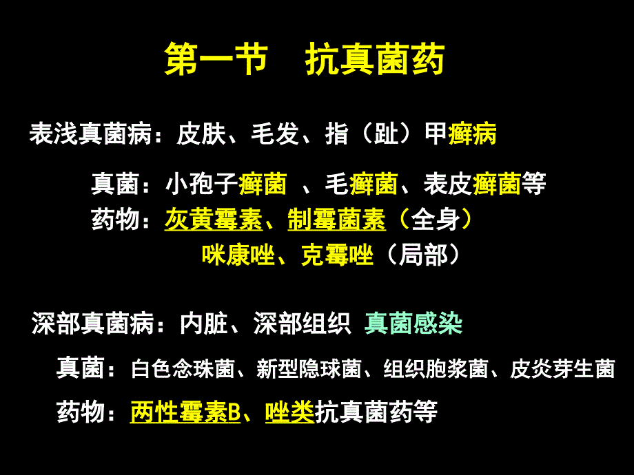 抗真菌抗病毒ppt课件1_第2页