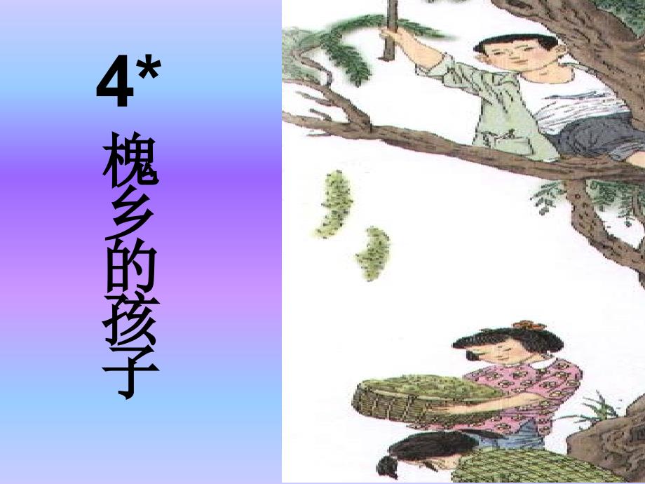 《槐乡的孩子》课件_第1页