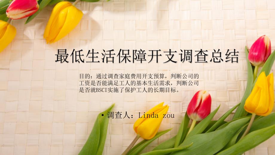最低生活保障开支调查总结PPT课件_第1页