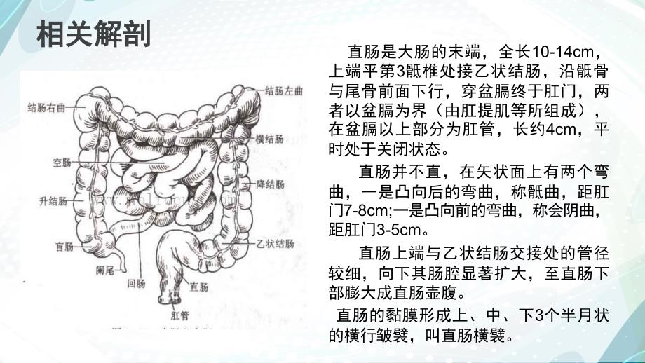 Miles-Dixon-Hartmann术式区别-(1).ppt_第4页