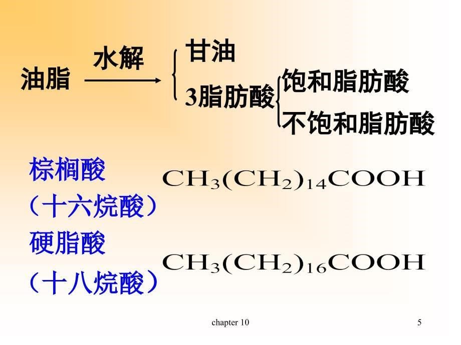 第10章脂类化合物双语_第5页