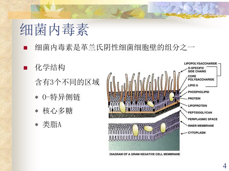 细菌内毒素检查法讲稿课件_第4页