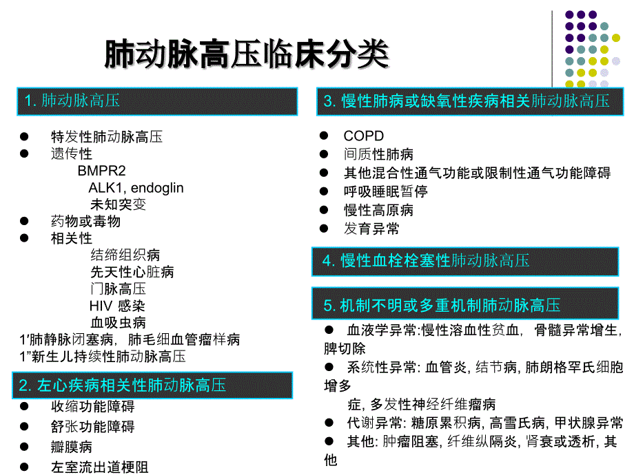 阜外教授肺动脉高压靶向药物治疗的研究进展资料_第2页