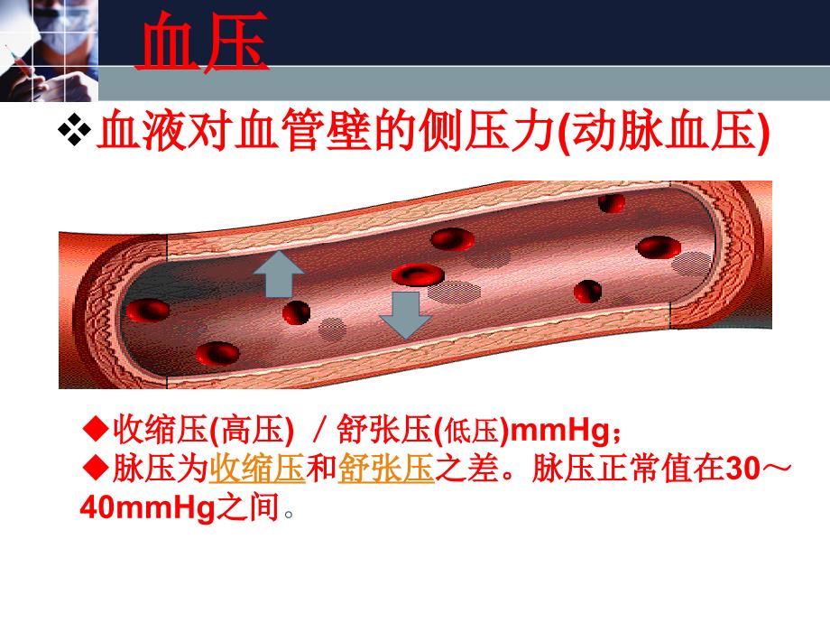 药物临床治疗学：原发性高血压_第4页