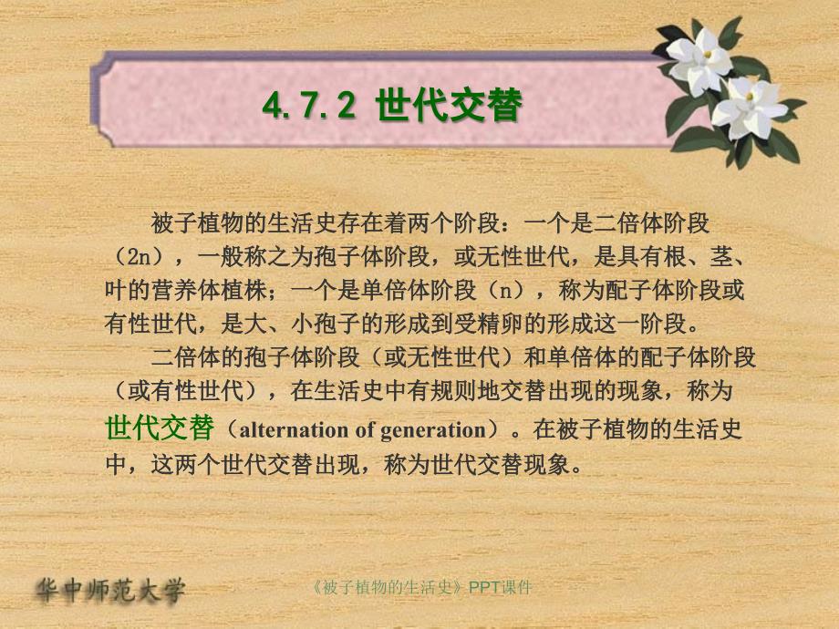 被子植物的生活史课件_第4页