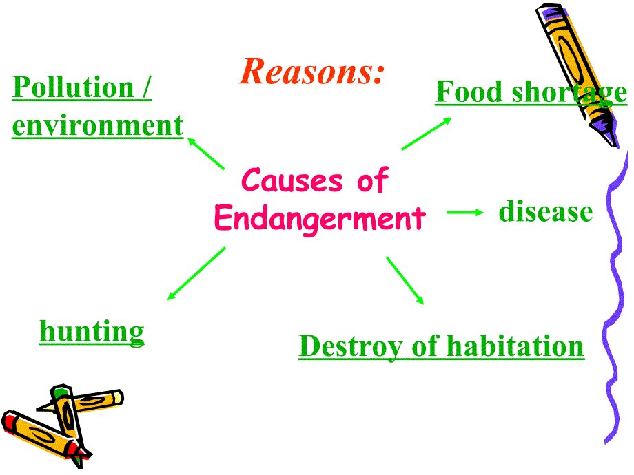 濒危动物Endangered species_第3页