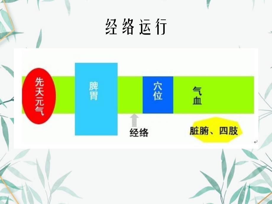 中医经络学说_第3页