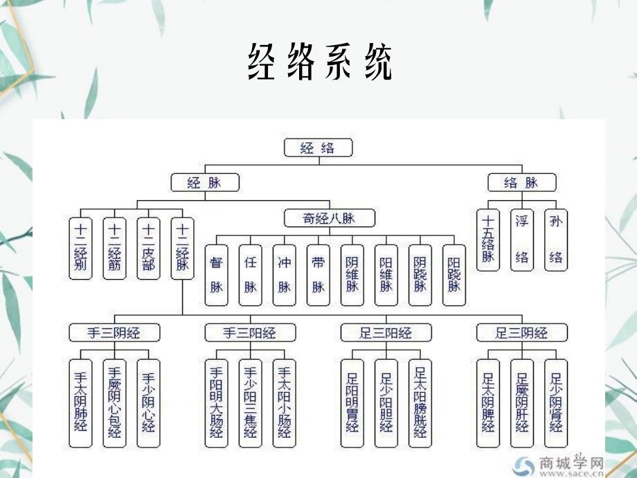 中医经络学说_第4页