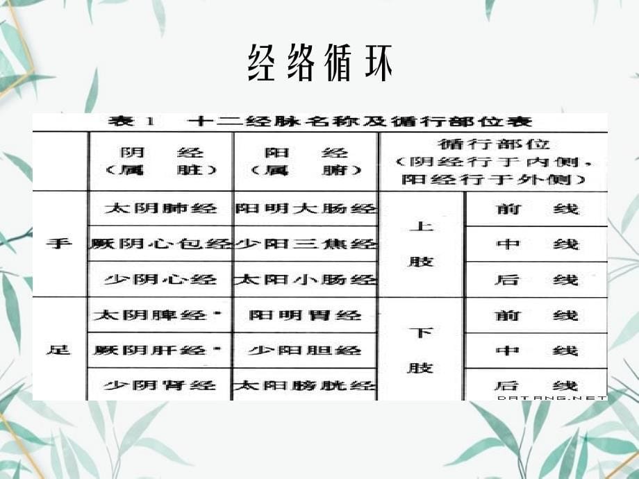 中医经络学说_第5页