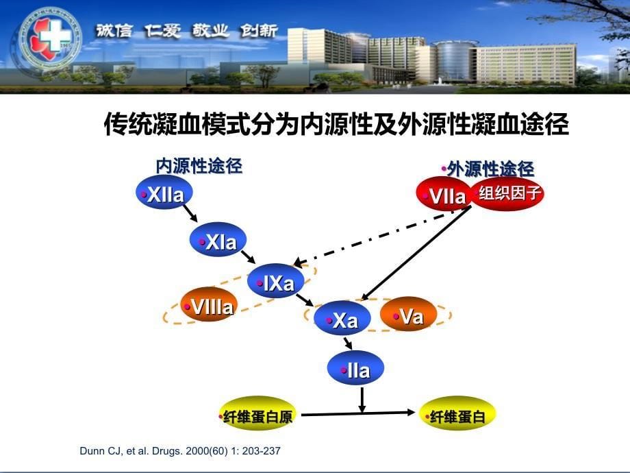 抗凝药物合理应用.ppt_第5页