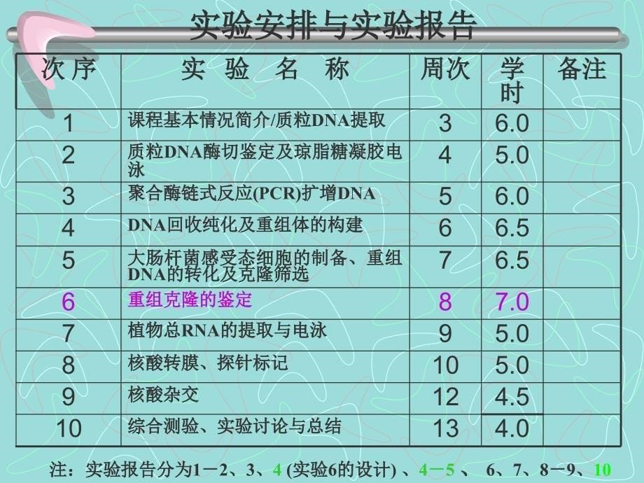 1质粒DNA的提取及浓度检测_第5页