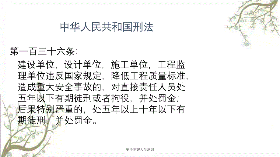 安全监理人员培训PPT课件_第3页